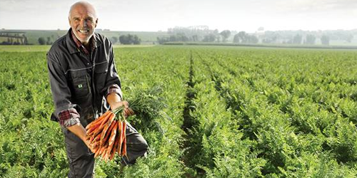 Homem segurando cenouras in naturas
